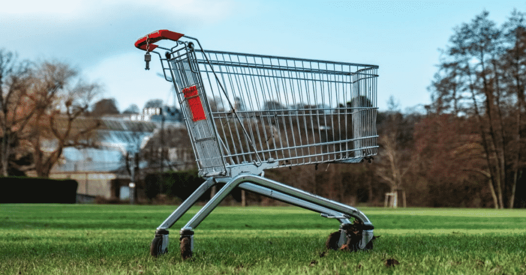 Why do people abandon shopping carts online
